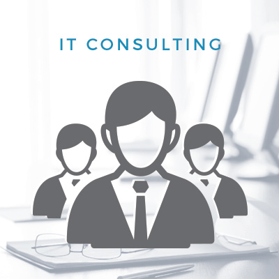 IT Consulting